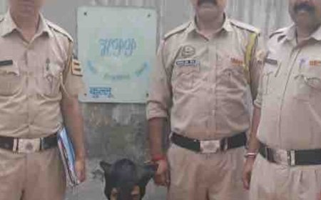 कुल्लू में एयरपोर्ट गेट के पास नशा तस्कर गिरफ्तार:हेरोइन बरामद, सप्लाई करने जा रहा था, दिल्ली का रहने वाला