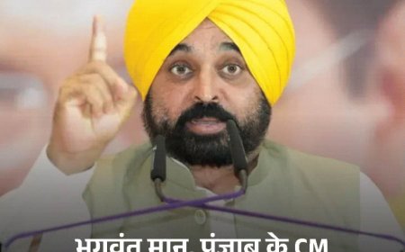 पंजाब AAP से 9 बड़े नेता कैसे अलग हुए:धर्मवीर गांधी से विजय प्रताप तक की कहानी; 7 निकाले, 2 खुद छोड़ गए साथ