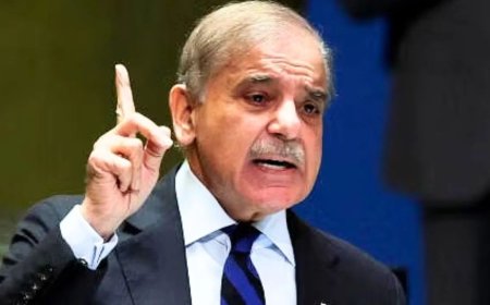 UNSC की कुर्सी मिलते ही पाकिस्तान ने फिर चली चाल, कश्मीर पर बोला- अब समय आ गया है