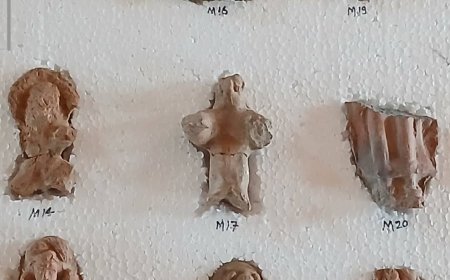 भरतपुर – बहज गांव में पुरातात्विक खुदाई में मिले महाभारत, मौर्य और शुंगकालीन अवशेष