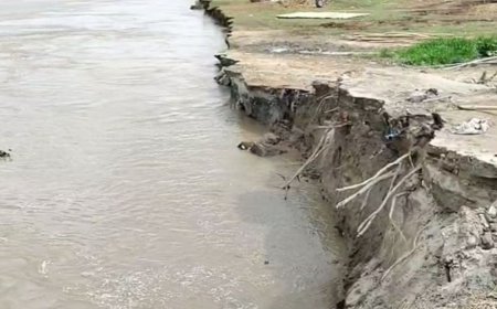 कोसी नदी में समाए 30 घर:सहरसा में बढ़ते जलस्तर से कटाव तेज, लोग कर रहे सुरक्षित स्थानों की ओर पलायन
