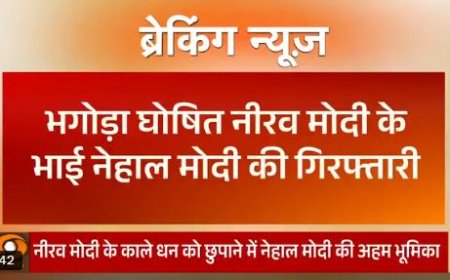 नीरव मोदी के भाई नेहाल मोदी अमेरिका में गिरफ्तार, CBI और ED के प्रत्यर्पण अनुरोध पर हुई कार्रवाई