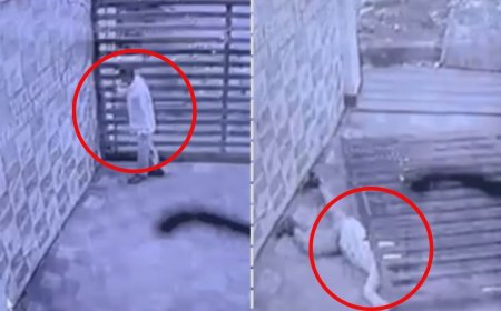 UP: सिक्योरिटी गार्ड के ऊपर गिरा स्लाइडिंग गेट, तड़प-तड़पकर तोड़ा दम… नहीं बचाने आया कोई