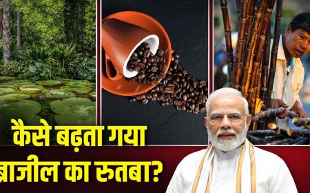 दबदबा हो तो ऐसा, ब्राजील कैसे दुनिया के देशों को पीछे छोड़ रहा? जहां पहुंचे PM मोदी