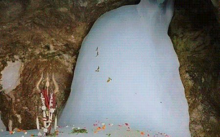 अमरनाथ यात्रा- 5वें दिन 24 हजार श्रद्धालुओं ने दर्शन किए:एक दिन में सबसे ज्यादा; अब तक 93,000 यात्री पहुंचे, छठा जत्था जम्मू से रवाना