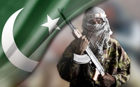 बम को लॉन्च कर रहा था TTP का कमांडर, खुद ही हो गया हादसे का शिकार