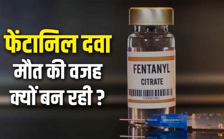 मौत और अपराध बढ़ा रही दवा फेंटानिल में ऐसा क्या है? जिसके लिए ट्रंप ने कनाडा पर लगाया 35% टैरिफ