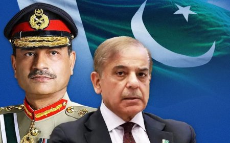 क्या जरदारी को हटाकर मुनीर बनेंगे पाकिस्तान के राष्ट्रपति? प्रधानमंत्री शहवाज शरीफ ने बताई सच्चाई