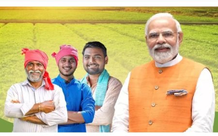 कैबिनेट ने प्रधानमंत्री धन-धान्य कृषि योजना को दी मंज़ूरी, 100 ज़िलों में कृषि क्षेत्र के विकास को मिलेगी रफ्तार