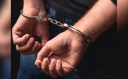 4 लाख की रिश्वत, 10 साल से फर्जीवाड़ा… अमेरिका में भारतीयों के वीजा के लिए ऐसे बिछाता था जाल, हुआ गिरफ्तार