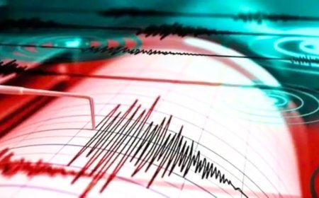 अलास्का में कांपी धरती, आया 6.2 तीव्रता का भूकंप, ताजिकिस्तान में भी लगे झटके