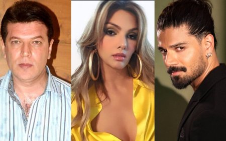 सलमान की Ex-गर्लफ्रेंड ने आदित्य पंचोली पर लगाए गंभीर आरोप, सूरज पंचोली को ठहराया इस एक्ट्रेस की मौत का जिम्मेदार