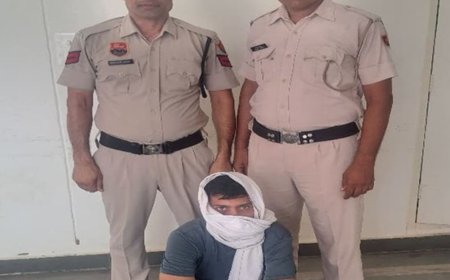 चरखी दादरी में शराब तस्कर गिरफ्तार:पुलिस को देख गाड़ी छोड़कर भागा, 8 पेटी बरामद; दिल्ली से चोरी किया था वाहन