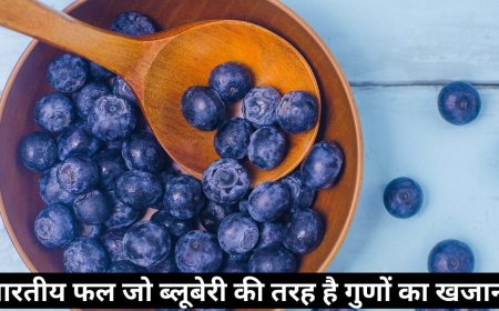 ब्लूबेरी जितना ताकतवर है ये भारतीय फल, बैड कोलेस्ट्रॉल भी करता है कंट्रोल