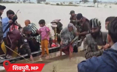 राजस्थान-MP में बाढ़ के हालात, 18 जिलों में स्कूल बंद:शिवपुरी में 35 लोग फंसे, आर्मी रेस्क्यू में लगी; हिमाचल में 357 सड़कें बंद