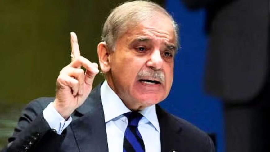 UNSC की कुर्सी मिलते ही पाकिस्तान ने फिर चली चाल, कश्मीर पर बोला- अब समय आ गया है