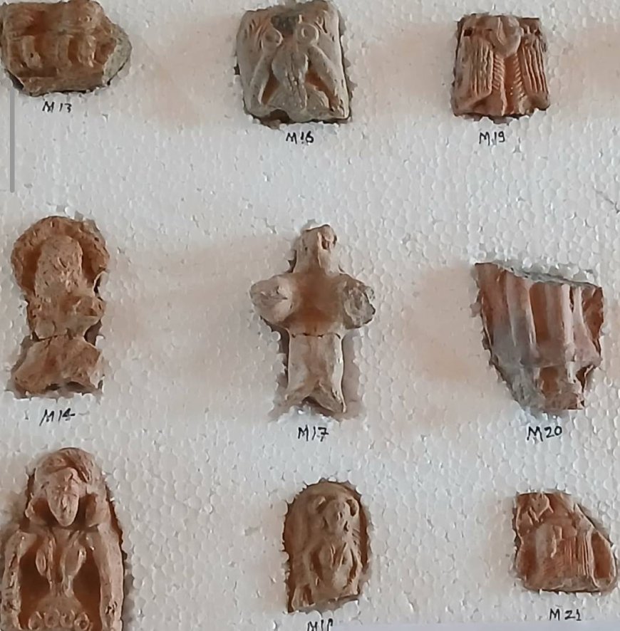 भरतपुर – बहज गांव में पुरातात्विक खुदाई में मिले महाभारत, मौर्य और शुंगकालीन अवशेष