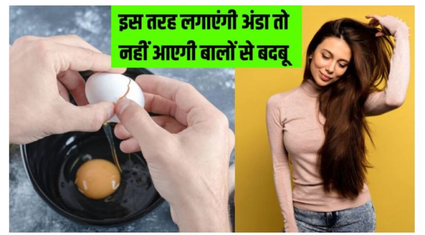 सिल्की-स्मूद चाहिए बाल, लेकिन अंडे का नहीं करना यूज? सिर्फ 3 चीजों से बनाएं Homemade Hair Conditioner