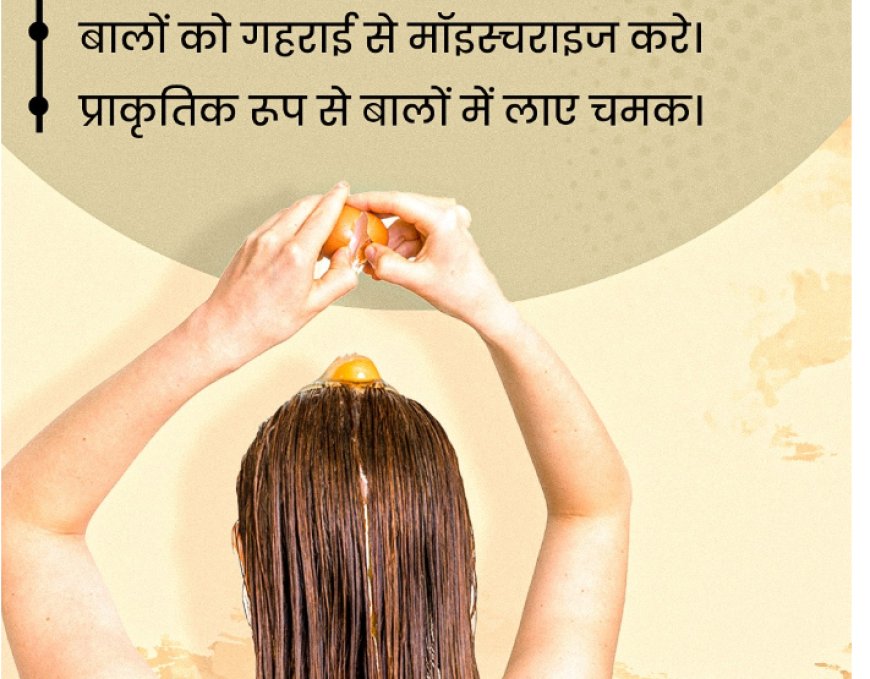 सर्दियों में बालों की देखभाल: अंडे से बना हेयर कंडीशनर देगा बालों को जरूरी पोषण और नैचुरल चमक