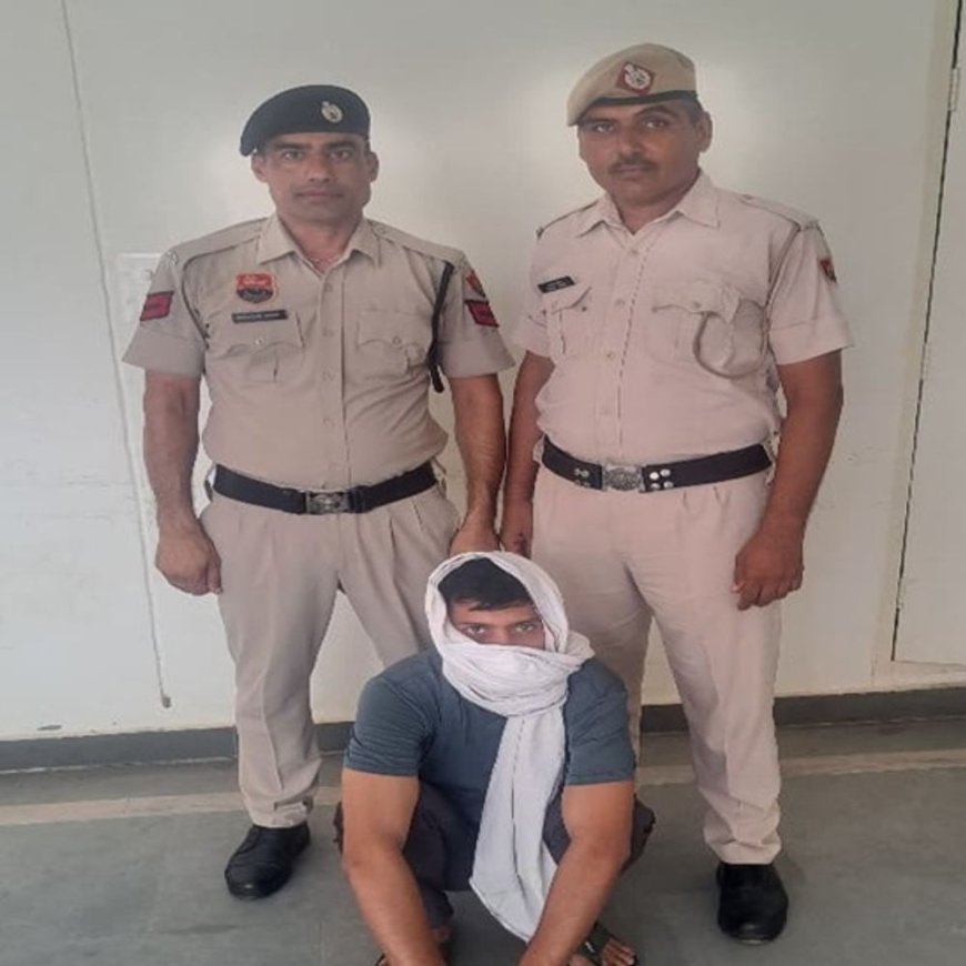 चरखी दादरी में शराब तस्कर गिरफ्तार:पुलिस को देख गाड़ी छोड़कर भागा, 8 पेटी बरामद; दिल्ली से चोरी किया था वाहन