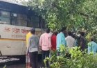 बाराबंकी: यात्रियों से भरी चलती बस पर गिरा पेड़, 4 लोगों की मौत, कई घायल