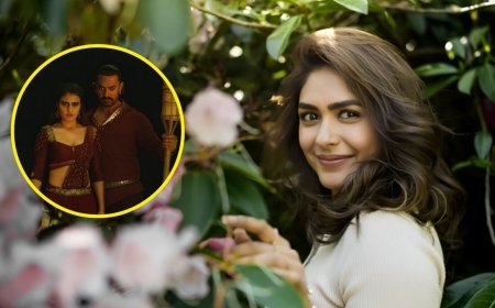 Happy Birthday Mrunal Thakur: अमिताभ-आमिर की फिल्म में मिल रहा था काम, मृणाल ठाकुर ने इस लालच में छोड़ा, बाद में ली होगी राहत की सांस