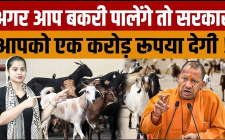 एक करोड़ तक रियायती ऋण पर बकरी पालन योजना | उत्तर प्रदेश सरकार 2025