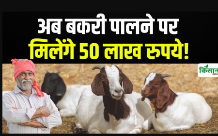 बकरी पालन और फसल तारबंदी योजनाएं : अब रोजगार और खेती दोनों में मिल रही सरकारी मदद
