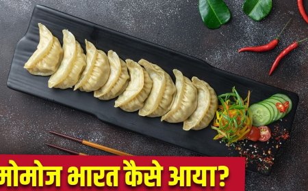 चीन, तिब्बत या नेपाल, कहां हुआ मोमोज का जन्म, कैसे भारत पहुंचा?