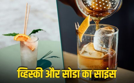 व्हिस्की में सोडा मिलाकर क्यों पीते हैं भारतीय? एक्सपर्ट से समझें पूरा साइंस