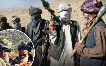 पाकिस्तान को सबसे खतरनाक आतंकियों से बचाने वाले जिरगा कौन हैं?