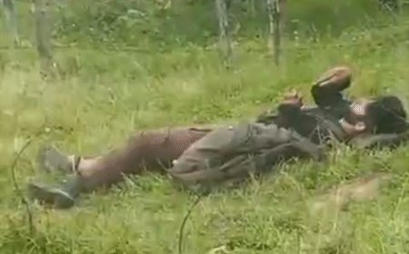 कुलगाम में 2 जवान शहीद:1 अगस्त से जारी ऑपरेशन अखल का आज नौवां दिन