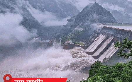 बिहार के भागलपुर में 100 घर गंगा में डूबे:हिमाचल में 4 जगह बादल फटा, 3 गाड़ियां बहीं-पुल टूटा, 5 राज्यों में बाढ़ का खतरा