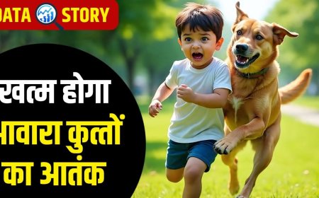 देश में कहां कुत्तों के काटने के मामले ज्यादा, अब तक कितनी मौतें हुईं? सुप्रीम कोर्ट के फैसले से शुरू हुई चर्चा