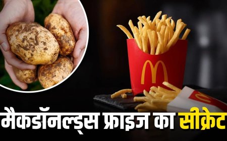 मैकडॉनल्ड्स किस आलू से बनाता है क्रिस्पी फ्राइज, क्या है इसका सीक्रेट?