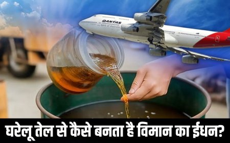 पकौड़ी तलने के बाद बचे तेल से कैसे बनता है हवाई जहाज का ईधन? इंडियन ऑयल करेगी तैयार
