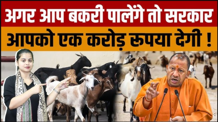 एक करोड़ तक रियायती ऋण पर बकरी पालन योजना | उत्तर प्रदेश सरकार 2025
