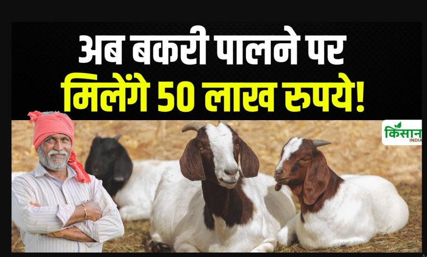 बकरी पालन और फसल तारबंदी योजनाएं : अब रोजगार और खेती दोनों में मिल रही सरकारी मदद