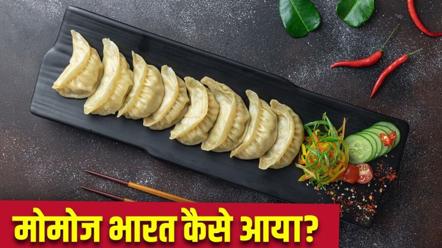 चीन, तिब्बत या नेपाल, कहां हुआ मोमोज का जन्म, कैसे भारत पहुंचा?