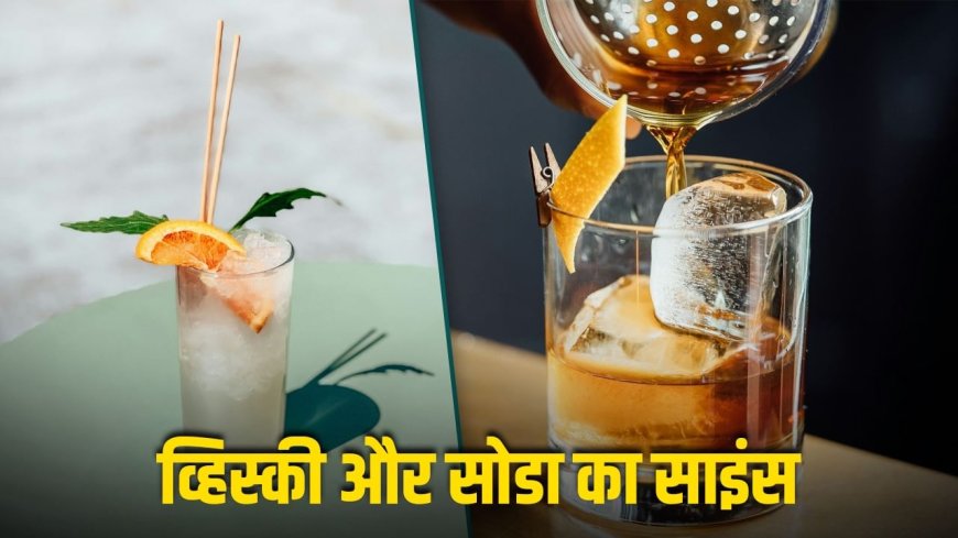 व्हिस्की में सोडा मिलाकर क्यों पीते हैं भारतीय? एक्सपर्ट से समझें पूरा साइंस