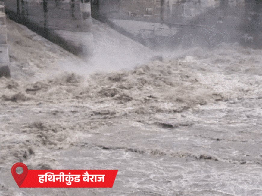 हरियाणा में घग्गर का जलस्तर बढ़ा, प्रशासन का अलर्ट:सांप ने 3 साल का बच्चा डसा; रोहतक में युवक डूबा; मोरनी हिल्स में लैंडस्लाइड