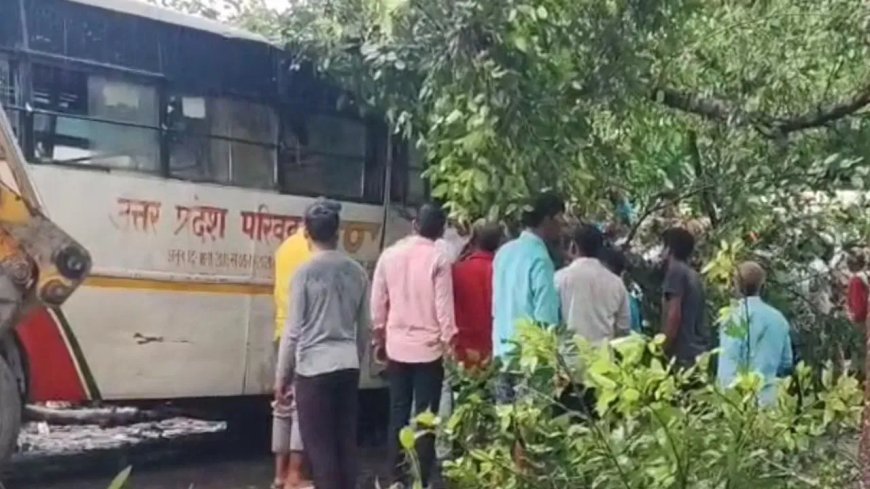 बाराबंकी: यात्रियों से भरी चलती बस पर गिरा पेड़, 4 लोगों की मौत, कई घायल