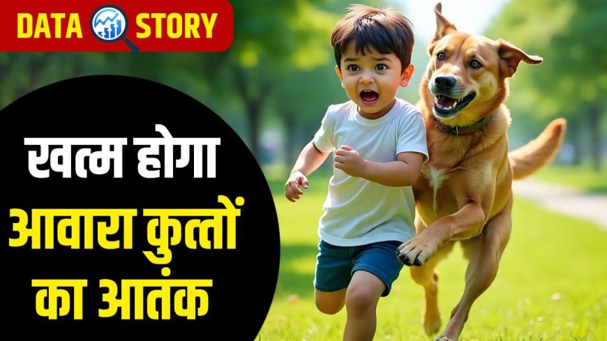 देश में कहां कुत्तों के काटने के मामले ज्यादा, अब तक कितनी मौतें हुईं? सुप्रीम कोर्ट के फैसले से शुरू हुई चर्चा