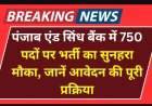 पंजाब एंड सिंध बैंक भर्ती 2025 | MSME रिलेशनशिप मैनेजर के 30 पद | आवेदन करें punjabandsind.bank.in