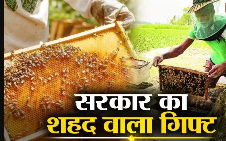 मिठास से भरा रोजगार: शहद उत्पादन से करें कमाई | राष्ट्रीय मधुमक्खी पालन और शहद मिशन 2025-26