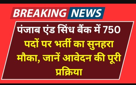 पंजाब एंड सिंध बैंक भर्ती 2025 | MSME रिलेशनशिप मैनेजर के 30 पद | आवेदन करें punjabandsind.bank.in