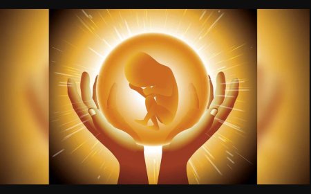 हर कोई जानना चाहता है कि उसका जन्म क्यों हुआ है।