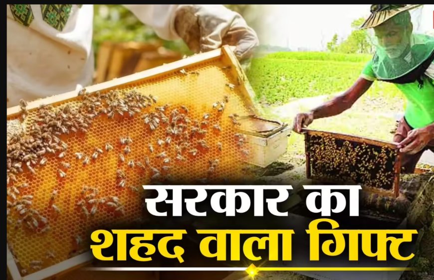 मिठास से भरा रोजगार: शहद उत्पादन से करें कमाई | राष्ट्रीय मधुमक्खी पालन और शहद मिशन 2025-26