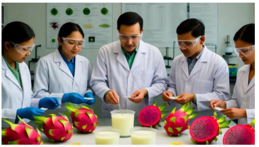 नई रिसर्च: ड्रैगन फ्रूट के छिलके से बनेगा और पौष्टिक दही | BHU Research 2025