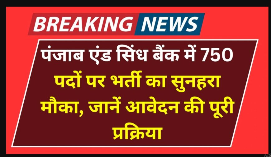 पंजाब एंड सिंध बैंक भर्ती 2025 | MSME रिलेशनशिप मैनेजर के 30 पद | आवेदन करें punjabandsind.bank.in